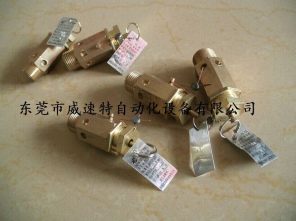开启压力0.8Mpa安全阀